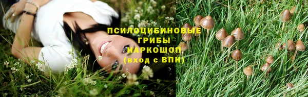 2c-b Балабаново