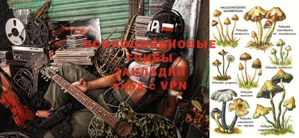 a pvp Баксан