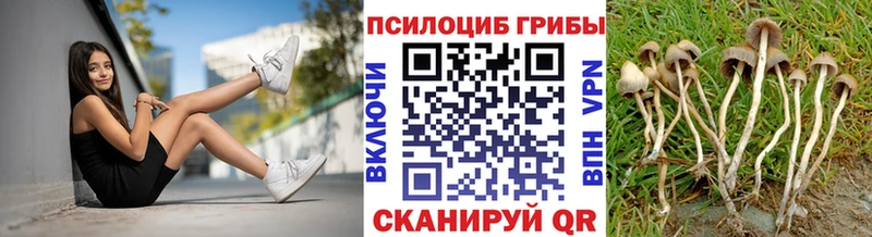 Галлюциногенные грибы ЛСД MEGA рабочий сайт это какой сайт Вольск